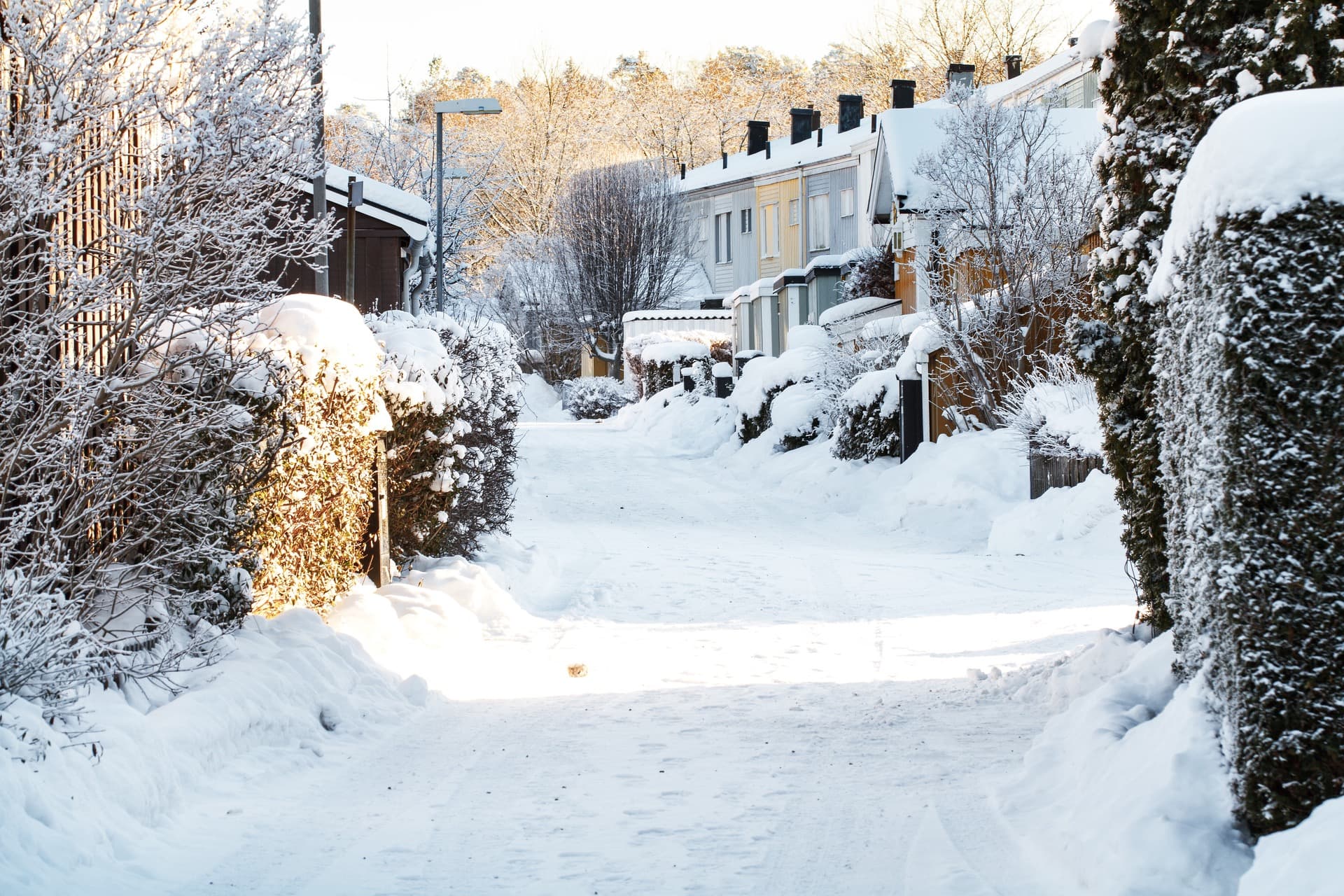 Blomkronans Samfällighet