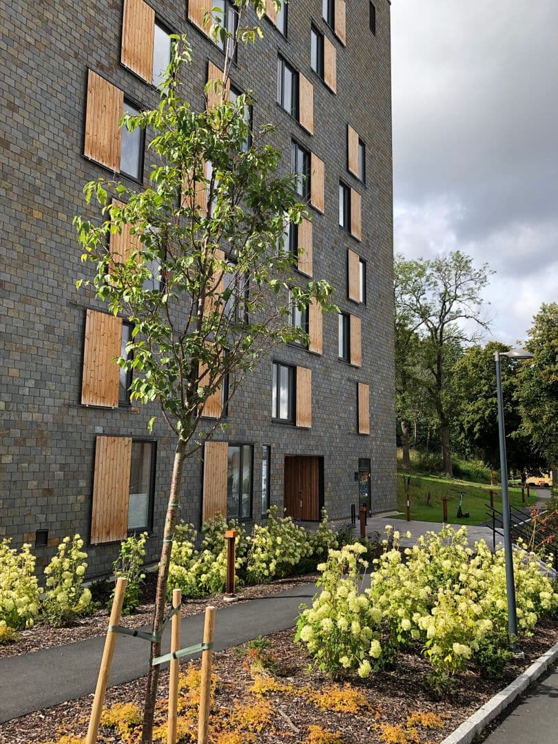 Brf Varptråden