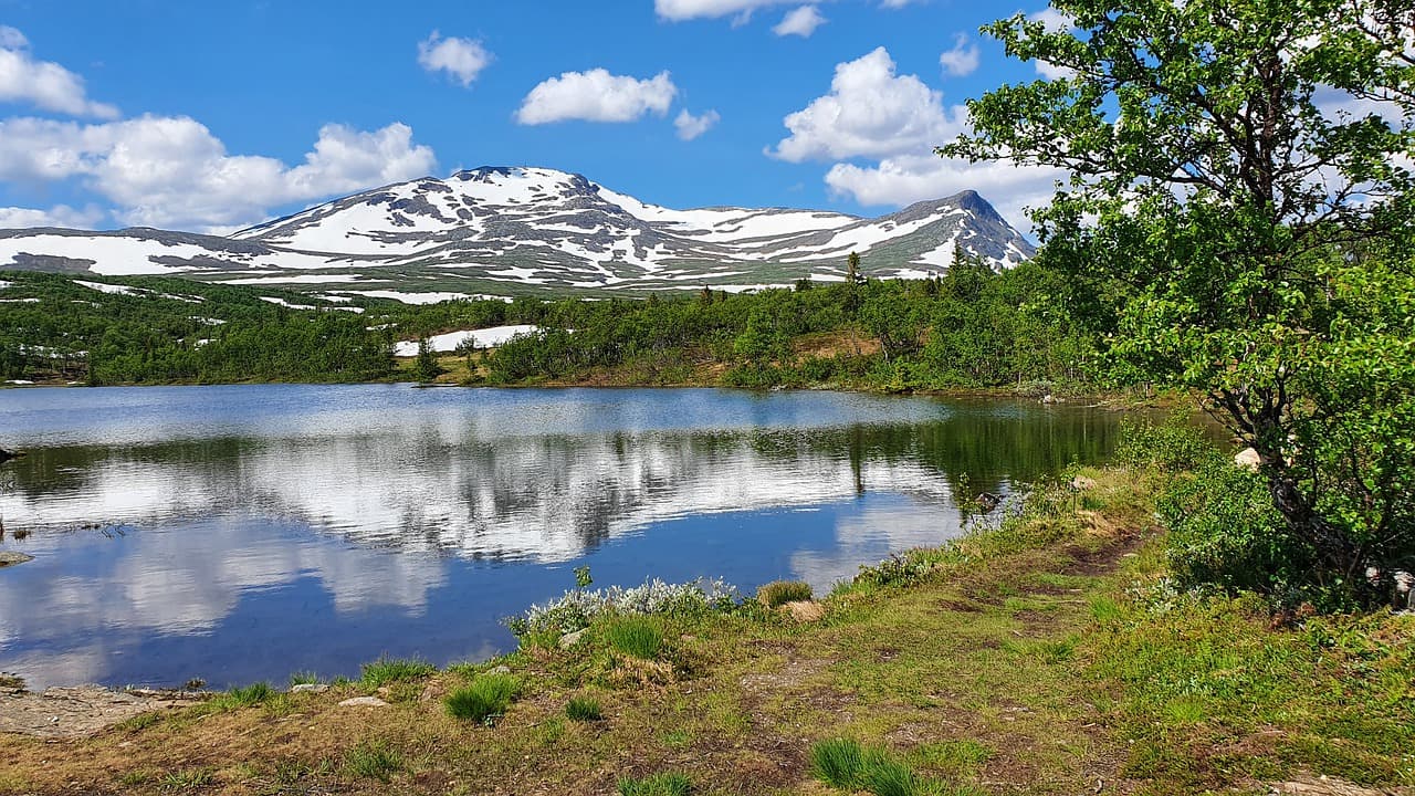 Brf Förberget 4