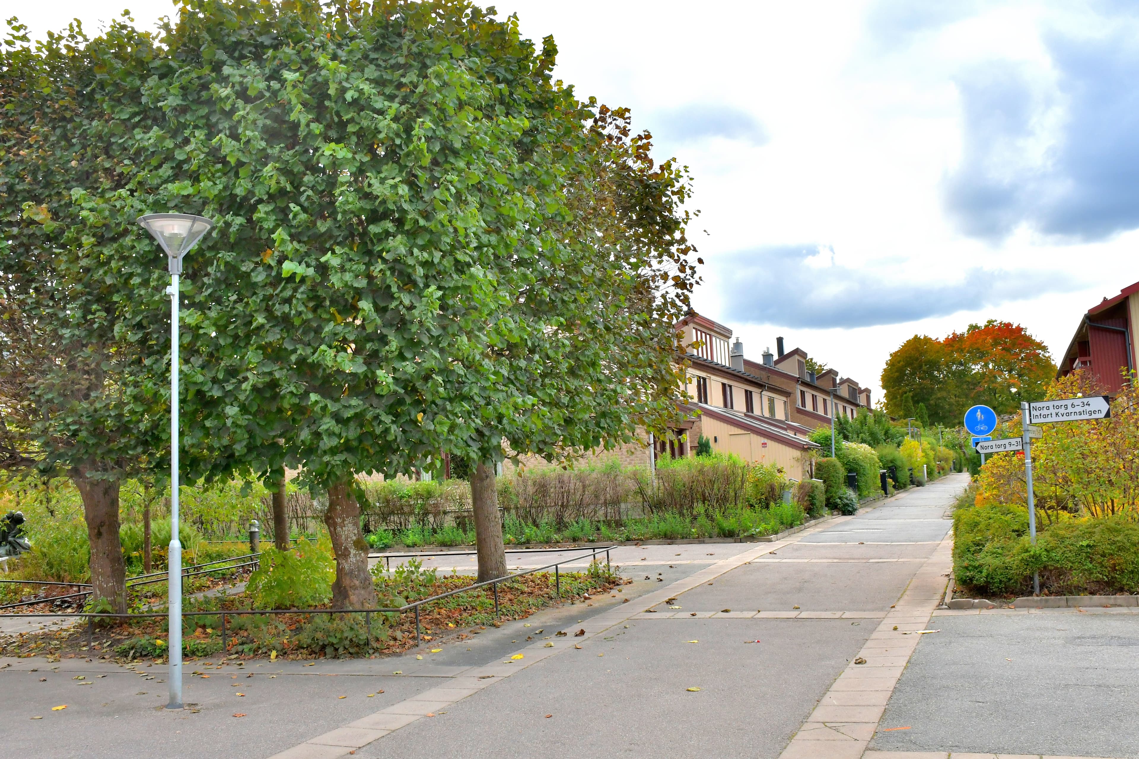 Nora Torgs Samfällighetsförening