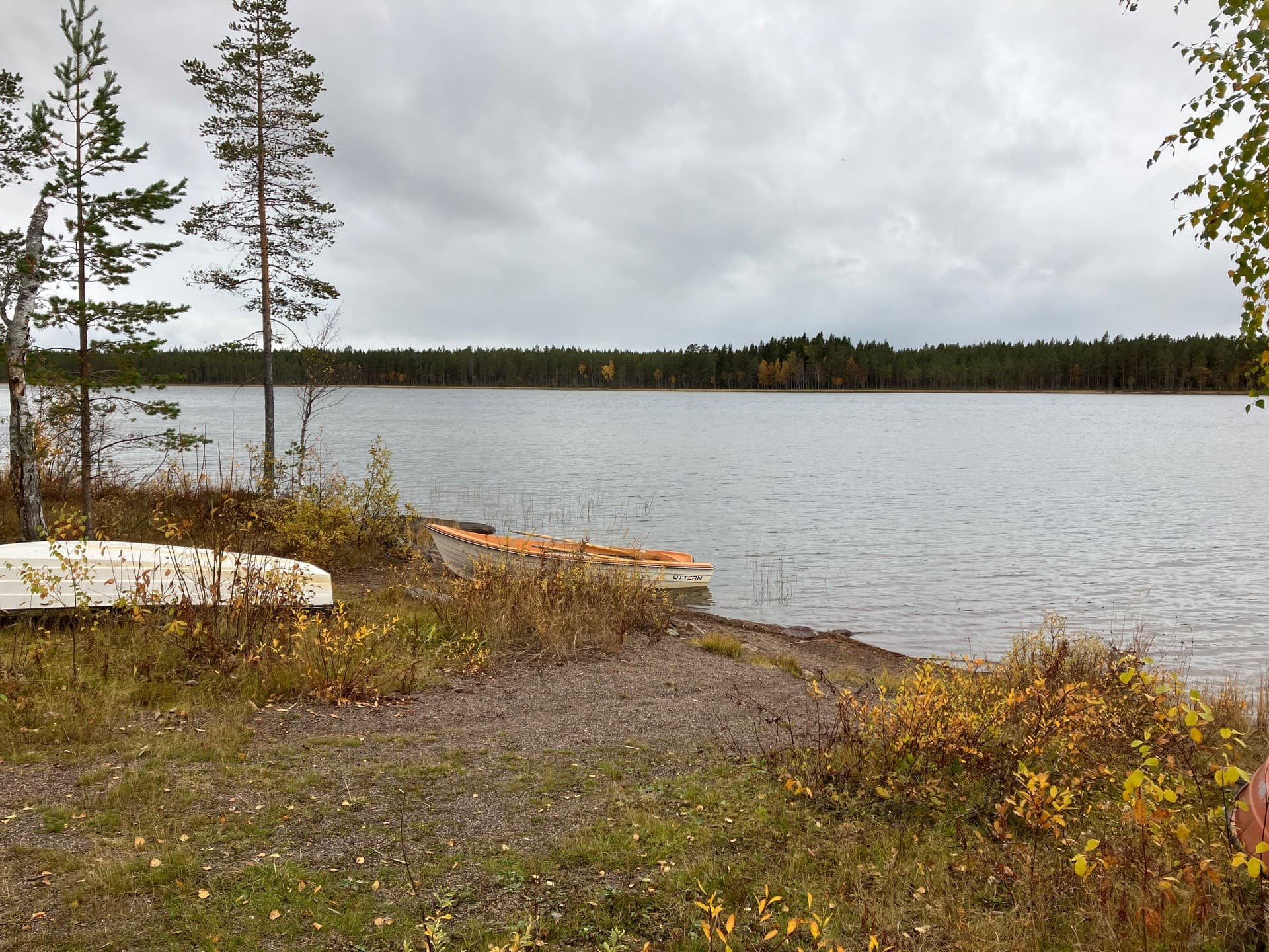 Kesjöns Samfällighetsförening