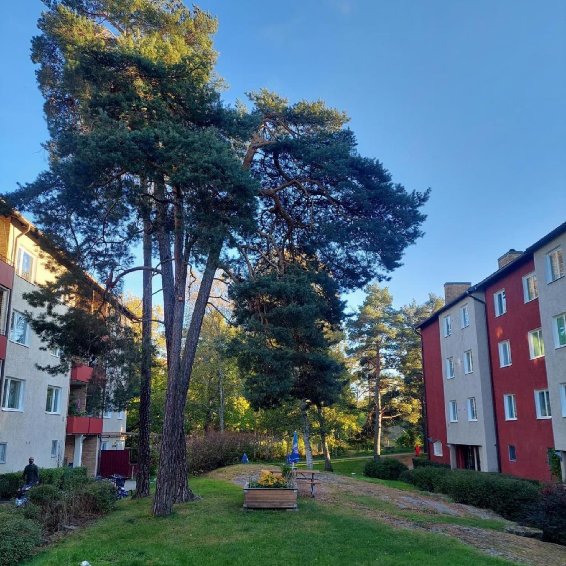 Brf Lugnet i Västertorp