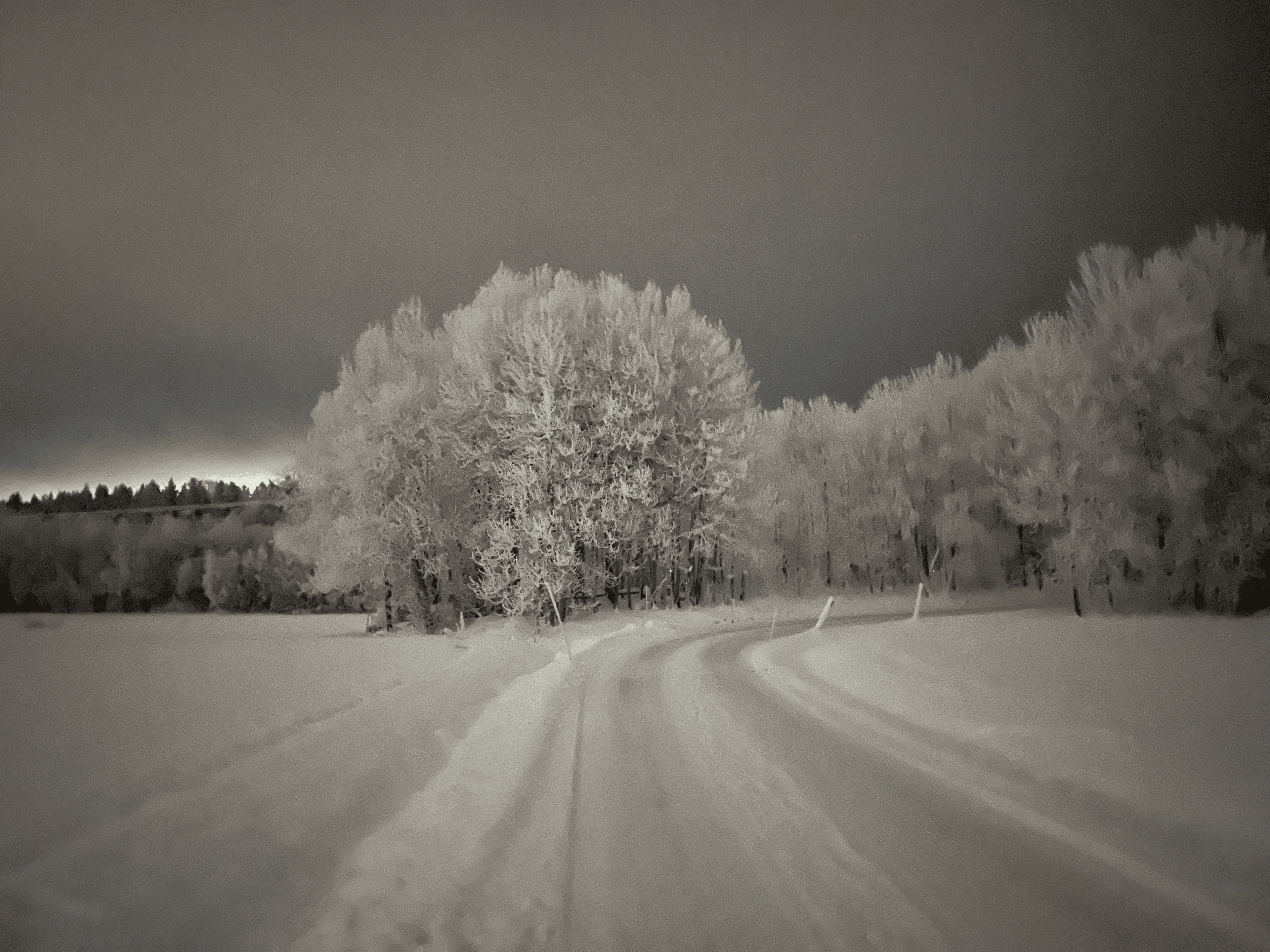 Sibiriens Samfällighetsförening