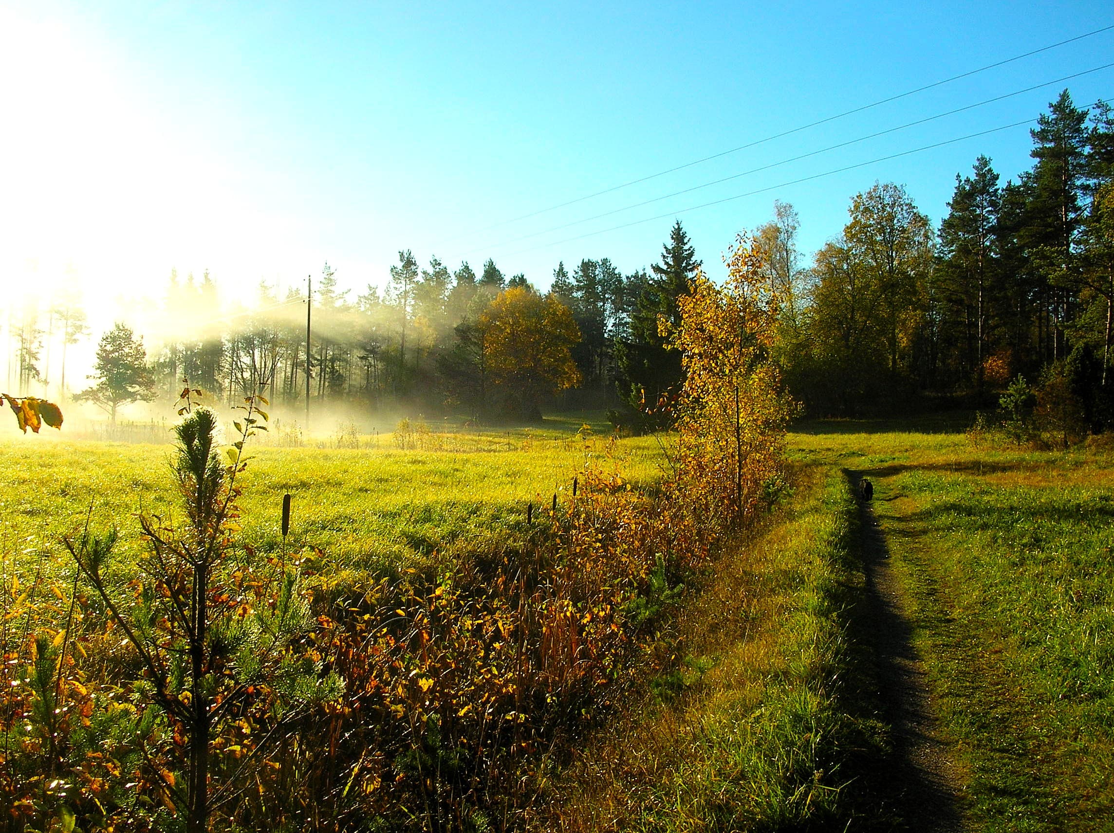 Västanviks samfällighetsförening