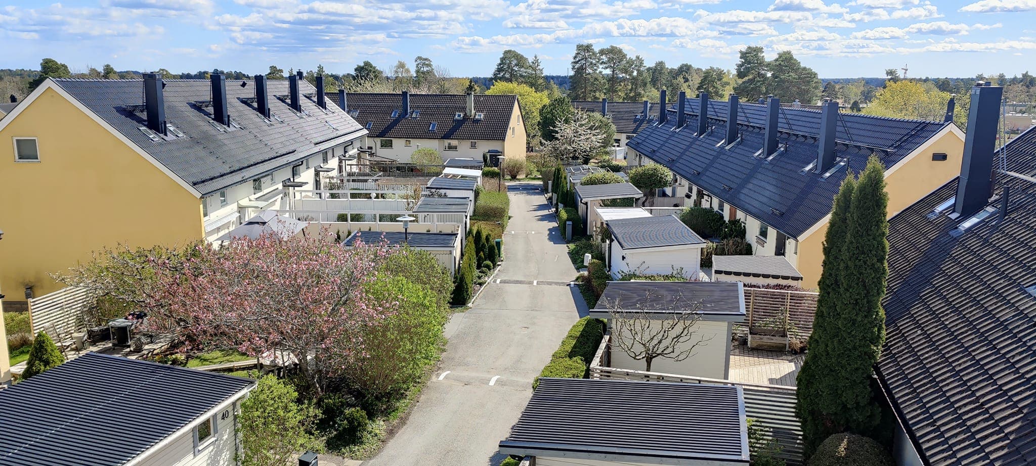 Tenorens samfällighet