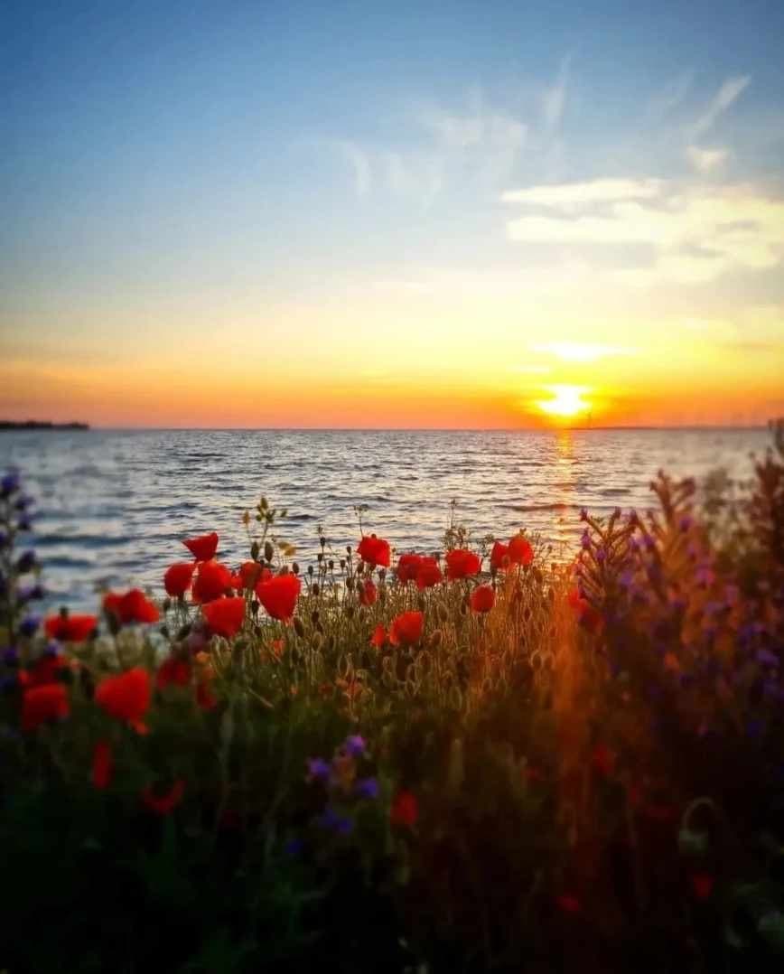 Brf Sudereken - Burgsvik Gotland