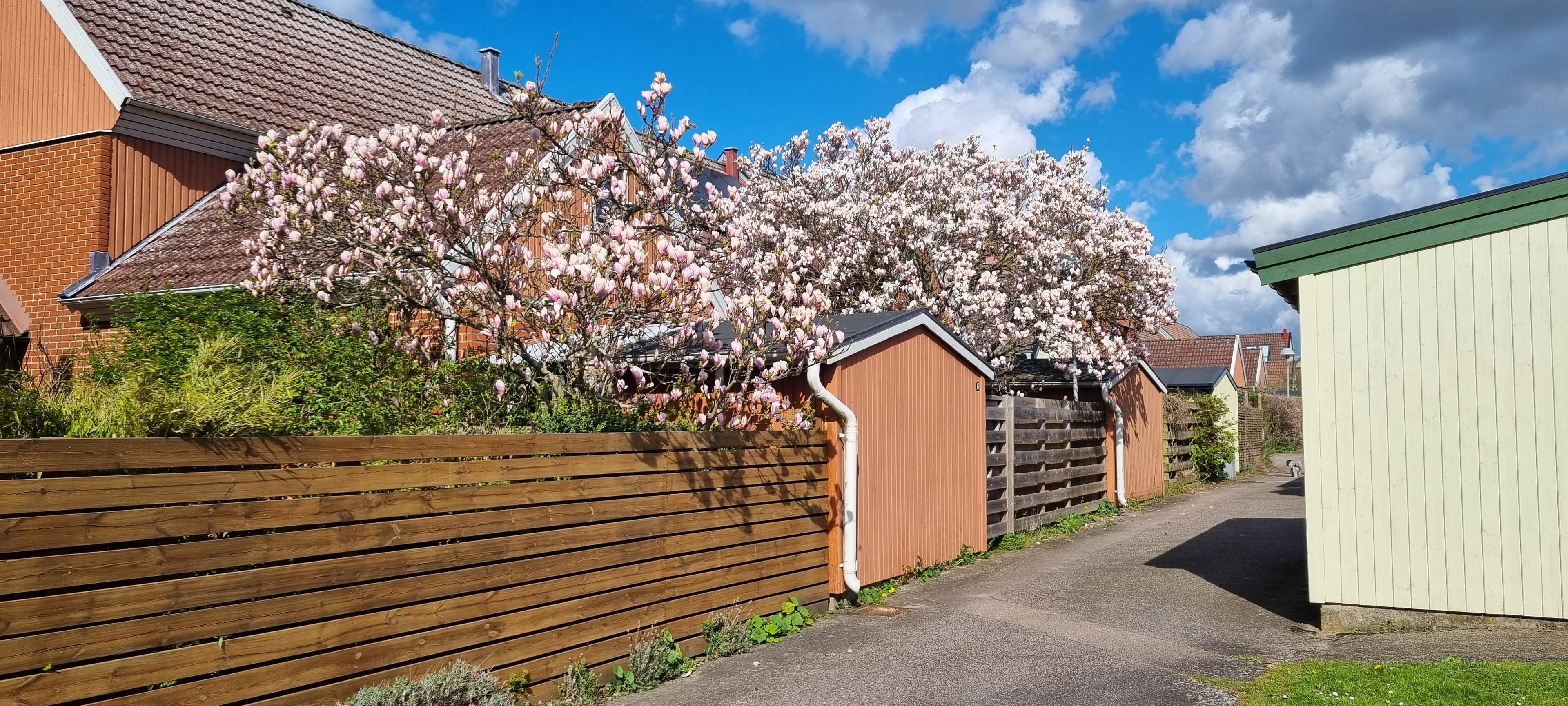 Ståndskallets Samfällighet