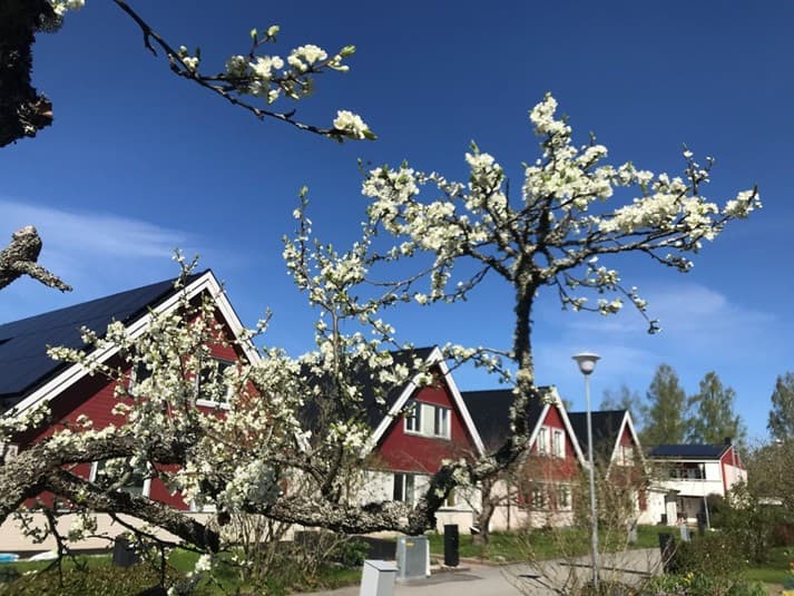 Kvarteret Stoets Samfällighetsförening
