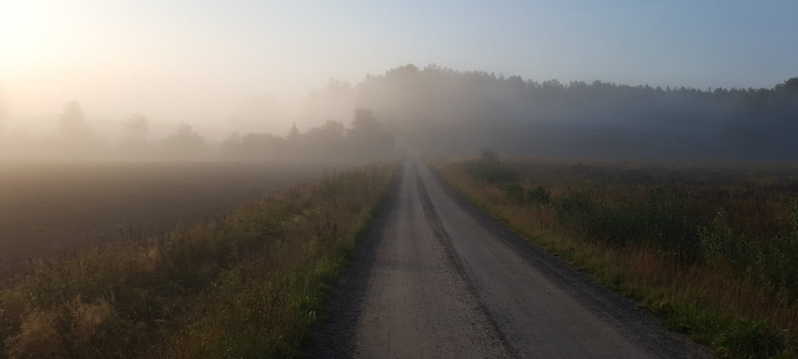 Mora-Lugnets Samfällighetsförening